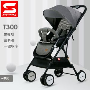 Buy cheap T300 High Landscape Baby Stroller from wholesalers