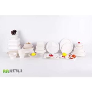 China Unbleached Biodegradable Food Container Eco Friendly Bagasse Tableware wholesale