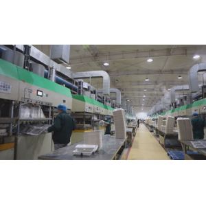 Hubei Wheat-Straw Environmental Technologies Co., Ltd.