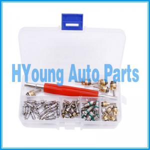 China Auto Car Air Conditioning A/C Core Valve R12/ R134A Remover Kit 50Pcs on sale