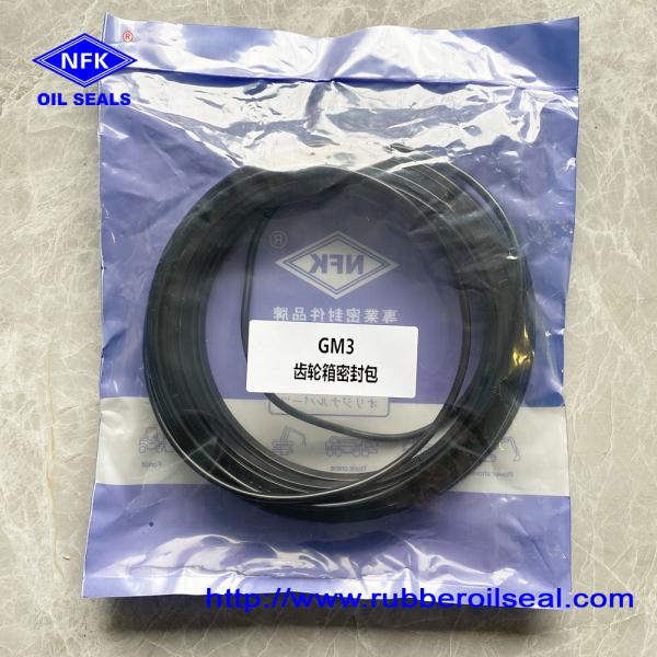 GM3 R24 Marine Gear Seal Kits Motor Service Repair Kit For Ship Hydraulic Systems