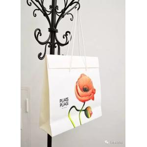 Waterproof 20*11*22cm Craft Paper Shopping Bags