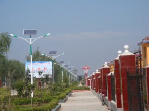 China New products on china market solar tower warning light Solar Panel Street Lights wholesale