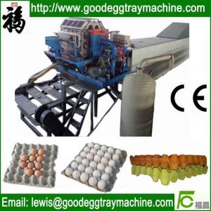China Recycled Paper Egg Tray Making Machinery on sale