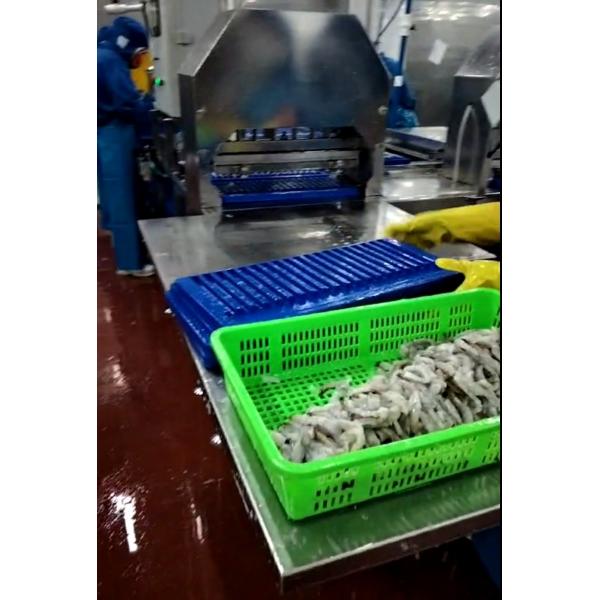 High Quality And Cheap Automatic Tempura Machine With Shrimp Stretching Machine