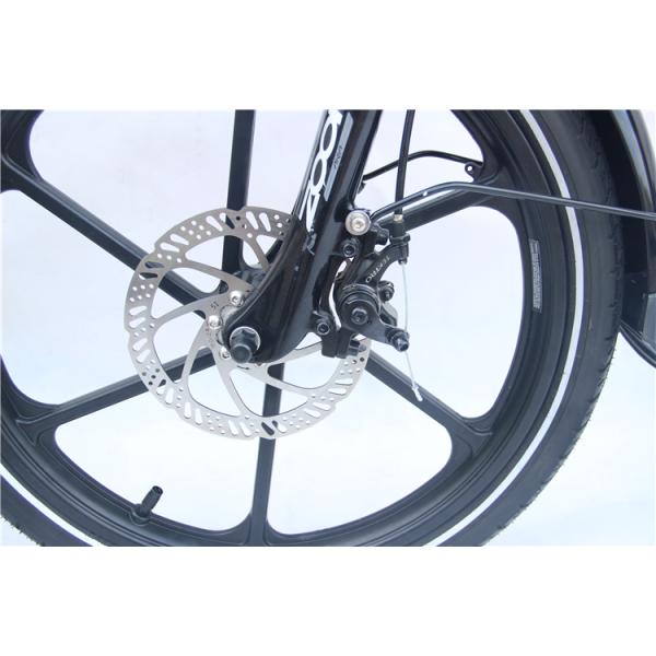 Dolphin Shape 36v 10ah Electric Hybrid Bike Fast Charging