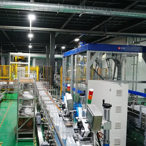 Automatic Gantry Palletizer Water Bottle Case Box Carton Palletizer