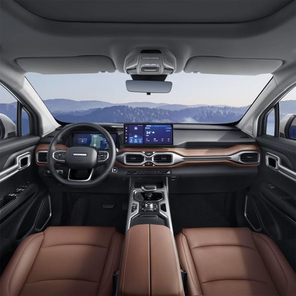 2023 2024 Model Electric Pickup Truck High Power Pickup Electric Cars RADAR RD6 2WD Drive Left Steering 2 Years