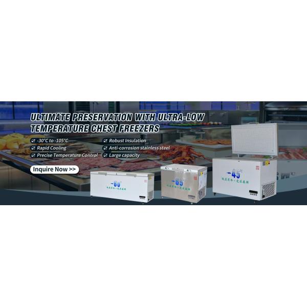 960-2600mm Length Ultra-Low Temperature Freezer for Seafood -45 -60 Degrees Celsius