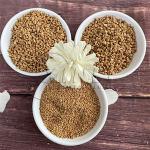 Nutshell Filter Media 1.28cg/M3 Walnut Shell Abrasive For Filtering Filling