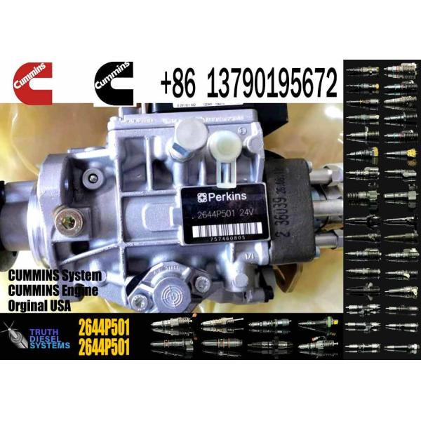 3056E Fuel Injection Pump 2169824 216-9824 2644P501 2644P501R 0470006003 0470006010 0986444518 for Perkins 1106C-E60TA E