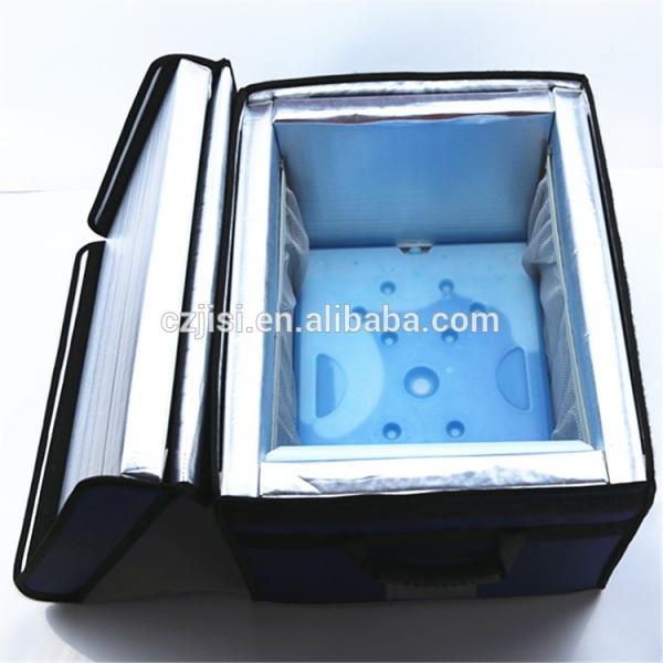 Low temperature vacuum insulated cold chain vaccine blood transport cooler box 205L