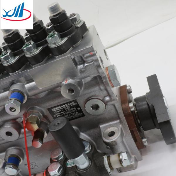 Best selling Fuel injection pump VG1095080190