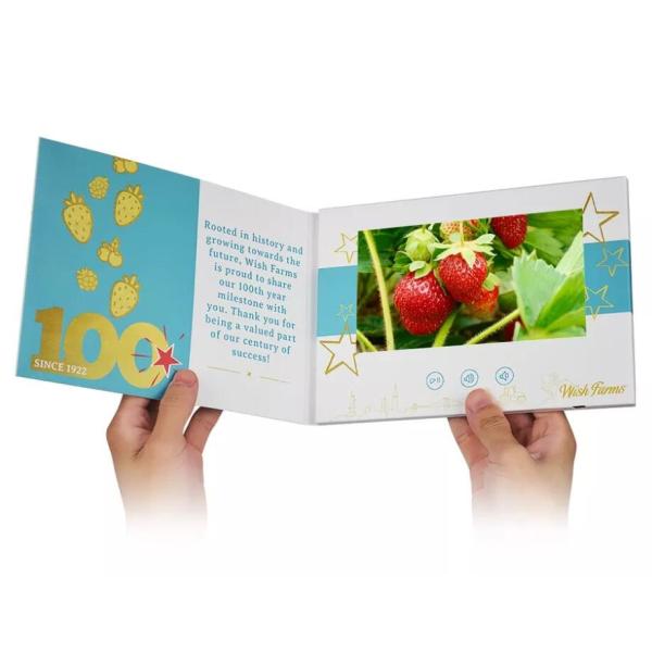 5 inch IPS LCD video card,Custom print LCD video product launch mailer for advertising