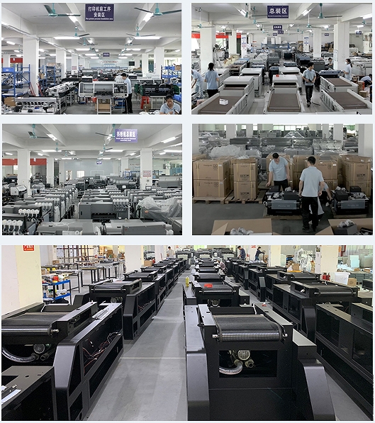 Ingani 12inch 30Cm Dual I1600 Print Head Dtf Powder Shaker Dtf A3 t Shirt Printer and Powder Shaker