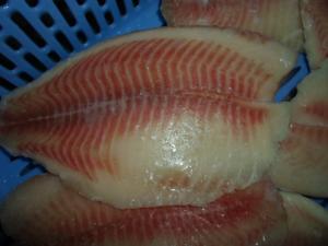 China Thailand Origin Fresh Frozen Seafood / Bulk Frozen Fish Tilapia Fillet wholesale