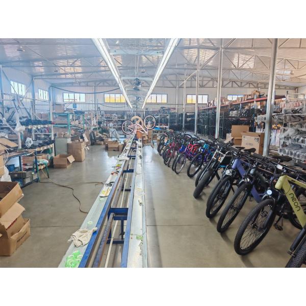Professional Chinese E-Bike Manufacturer OEM/ODM Electric Mountain Bike pedal assist bike electric bike OEM bulk e-bikes