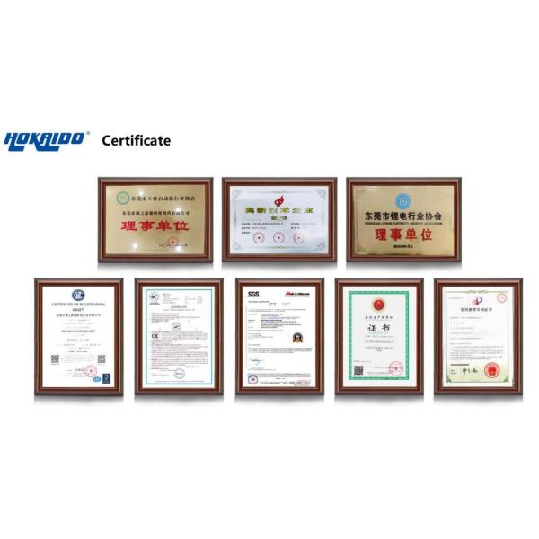 Hokaido Oil-Lubricated Rotary Vane Vacuum Pump for Lighting Industry