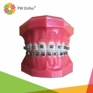 China Orthodontic Material Self Ligating Metal Brace Bracket on sale
