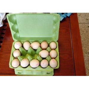 Paper Egg Tray Machine Small Capacity Convenient Installation Egg Tray