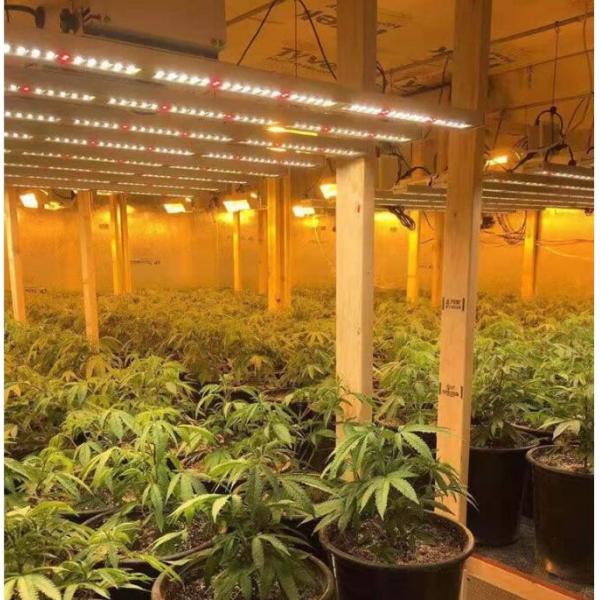 1000w foldable uv ir full spectrum indoor led plant grow lamp lighting bars