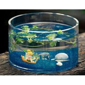 Buy cheap hand blow glass terrarium glass fish tank Hydroponics container from wholesalers