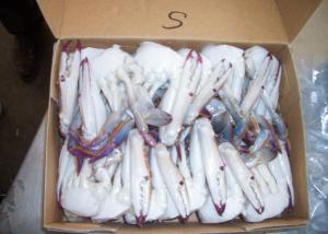 China Portunus Crab Blue Swimming Crab , Half Cutted  Sea Crab Iso Brc Certification wholesale