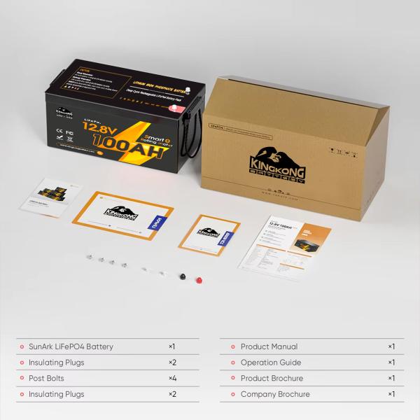 Exide 12V 24 48V Volt 5 7 9 12 14 18 20 24 28 35 50 100 110 120 150 200 300Ah Amp Hour Hr Deep Cycle Lifepo4 Lithium Ion Battery