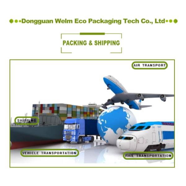 Biodegradable Burger Hamburger French Fries Boxes Package Customized Shape