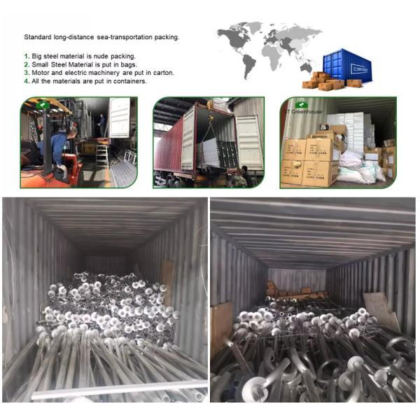 Galvanized Steel Frame Tunnel PE Film Greenhouse Single Span For Agriculture