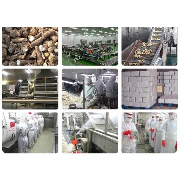 Authentic Traditional Natural Food Seasoning Japanese Ingredient Wasabi Powder