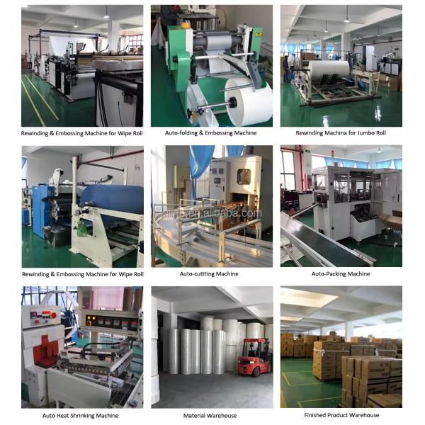 White 100% Pulp Toilet Paper Rolls 20 Rolls Pack 50gsm