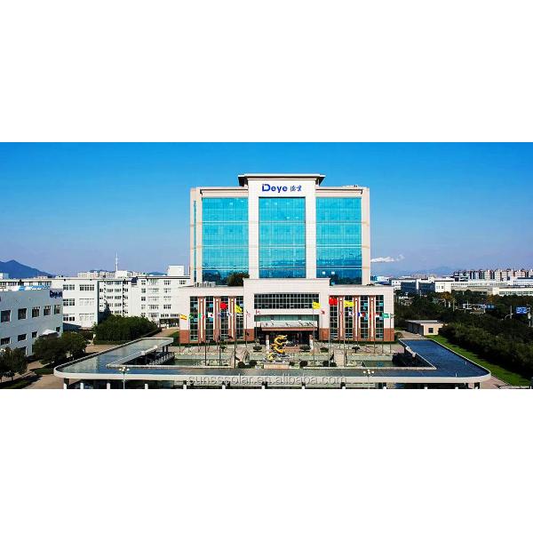 Deye High Voltage Hybrid Inverter SUN-12K-SG01LP1-EU AC 230V