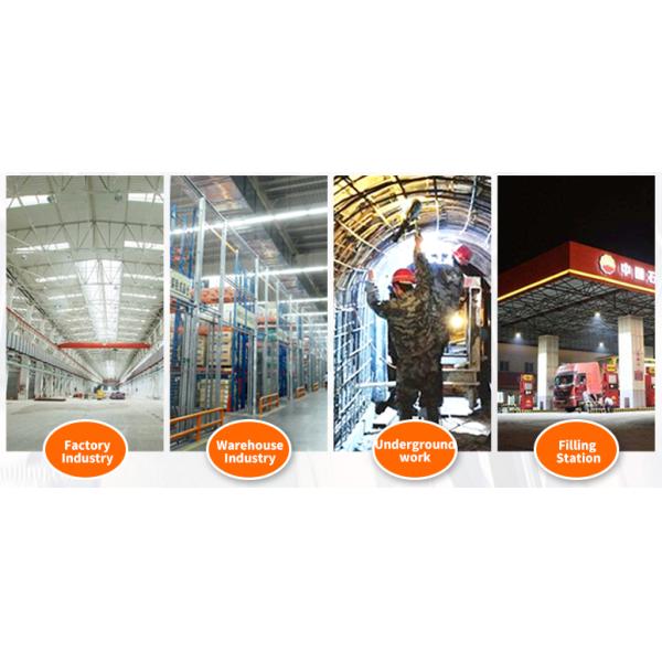 DL230 Explosion-Proof LED Lighting Fixture for Hazardous Environments - ExdIICT6