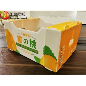 China Watermark Printing Correx Packaging Boxes For Fruits wholesale