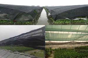 China black color HDPE sun shade net 3*100meter for greenhouse use wholesale