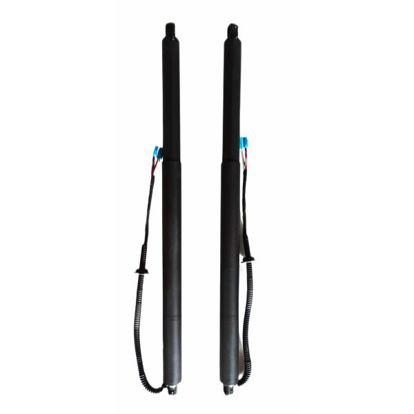 Custom Electric Power Tailgate Kit Struts For FORD EVOS