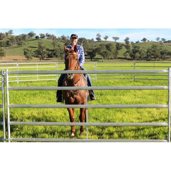 Portable Horse Stall Panels 5 Oval Rails. Locking Pins. , Victoria , Cattle