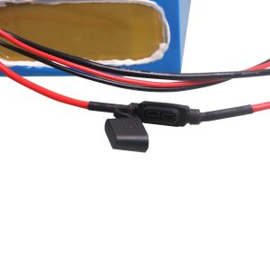 Rechargeable 48V 25Ah 18650 Lithium Ion Battery Pack