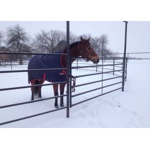 Hot Dip Galvanized Welded Tube Cattle Livestock Fence Panels