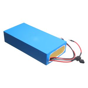 Rechargeable 48V 25Ah 18650 Lithium Ion Battery Pack