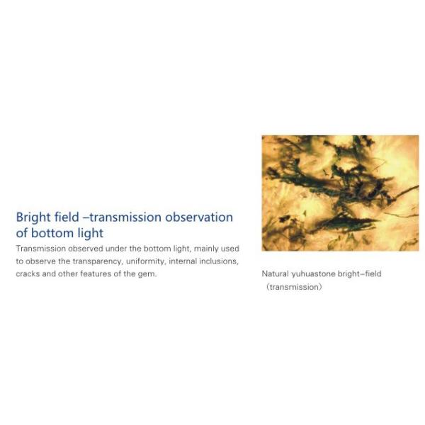 Portable Digital Gem Stereo Microscope , Transmitted Light Microscopy 0.67X - 4.5X