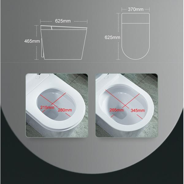 Ceramic Floor One Piece Intelligent Smart Toilet Bowl Electric Automatic Flush WC Bidet