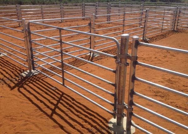 Quality Iron Round Pipe 5 Ft High Heavy Duty Cattle Panel Hot Dip Galvanized for sale