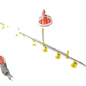 China Dia.25mm Poultry Farming Machine Galvanized Pipe Poultry Feed Line wholesale