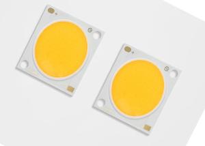 China 30w 50w Residential High Power Chip Power Led Compact High Flux Density Light Source wholesale