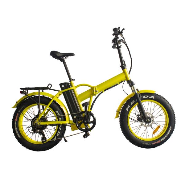 Two-Wheel Foldable Portable Electric Bike 40 Mile Range 48V 500W Rear Motor 20in