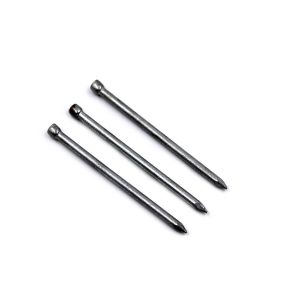 Polished Brad Head Nail