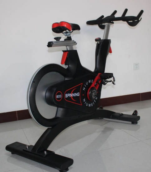 Home Indoor Cycle Spin Bike Commercial Fitness Cardio Training Exercise