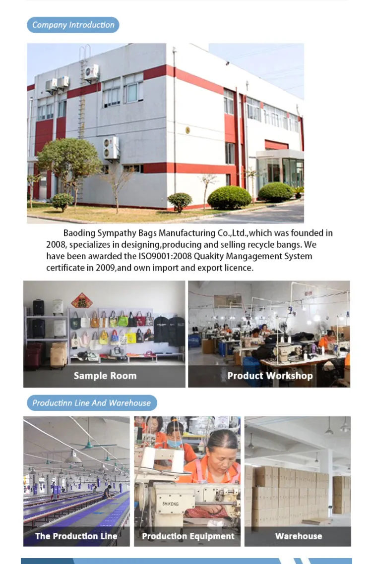 Durable Polyester Waterproof Business Laptop Backpack with USB Outdoor Travel Sports Bag